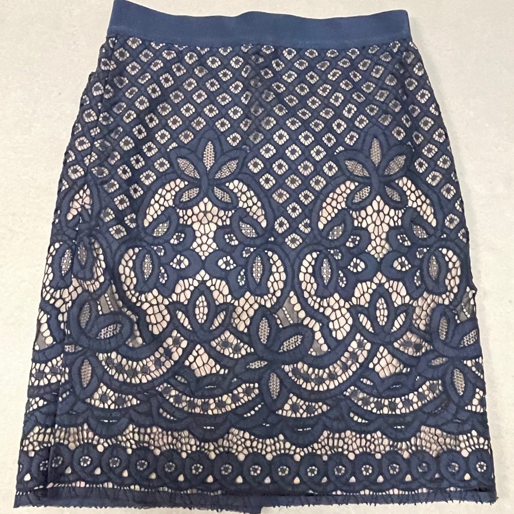 Ann Taylor Skirt